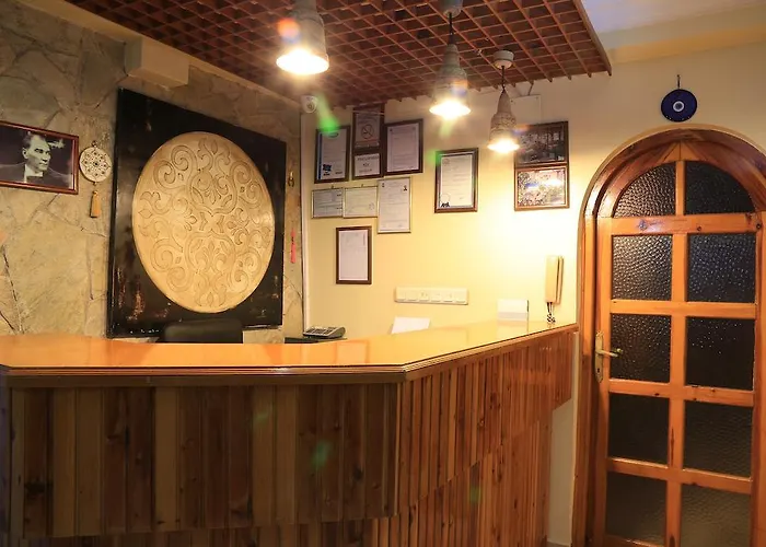 酒店 纳扎尔酒店 塞尔丘克