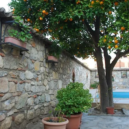 酒店 纳扎尔酒店 塞尔丘克